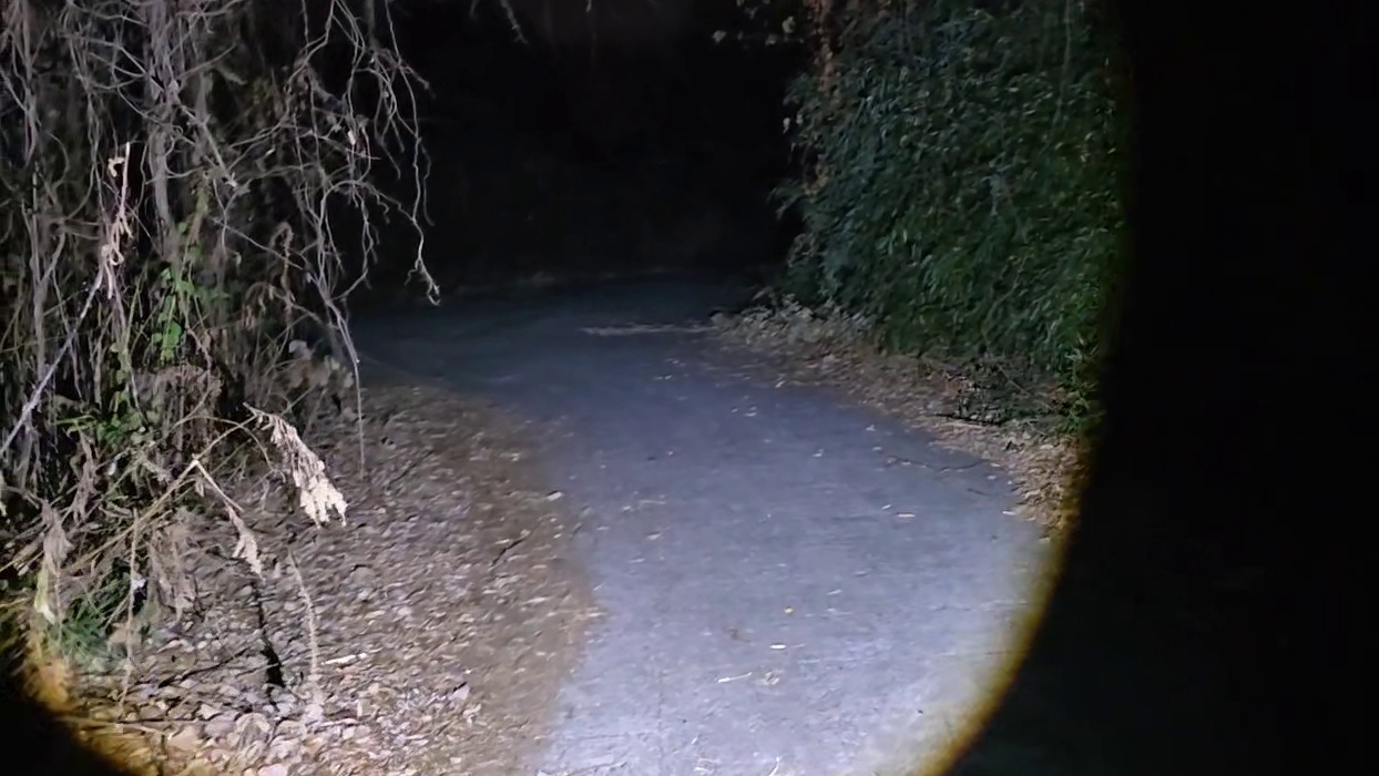 大狠突然冒出来吓死人！