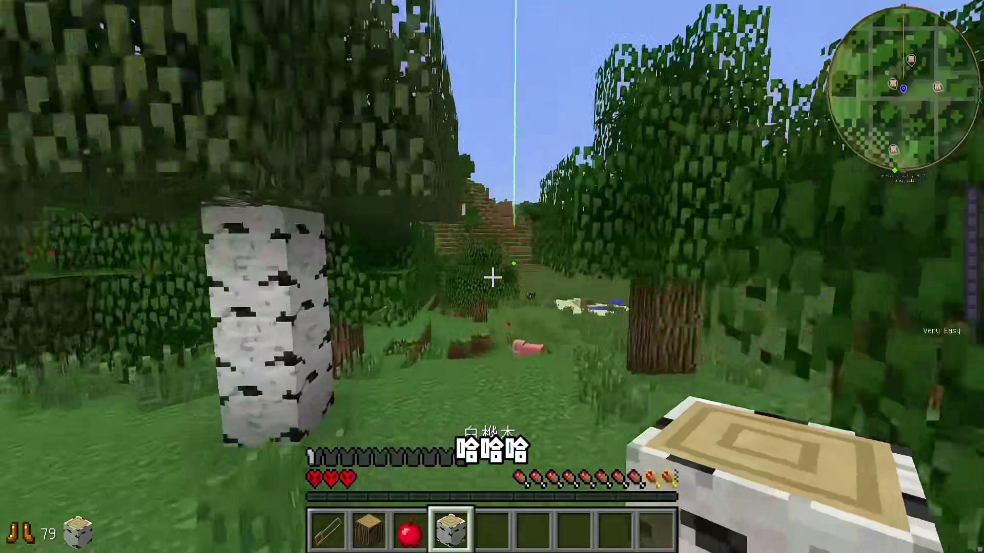 天崩开局随机生存1