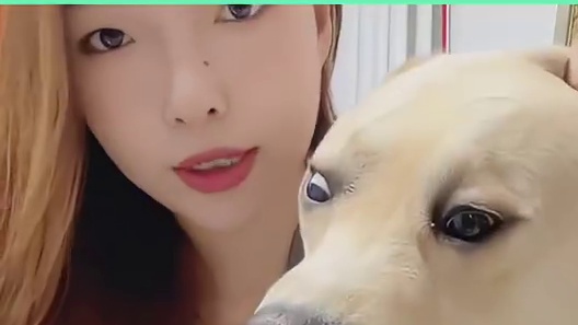 婆婆给儿媳点男模