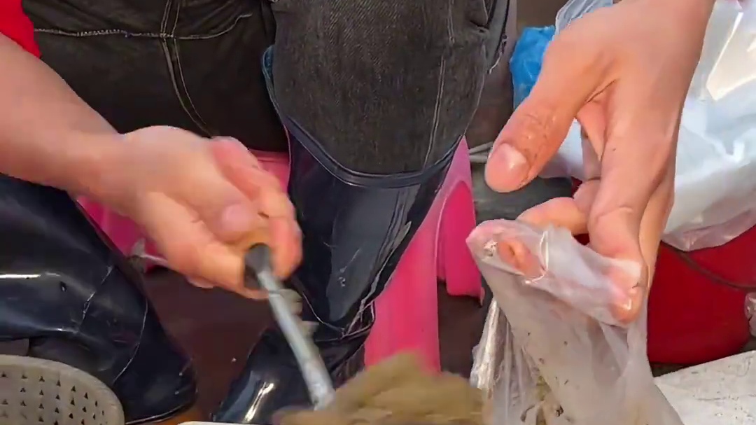 泥巴一样的东西居然是特色美食！潮汕土虾你吃过吗