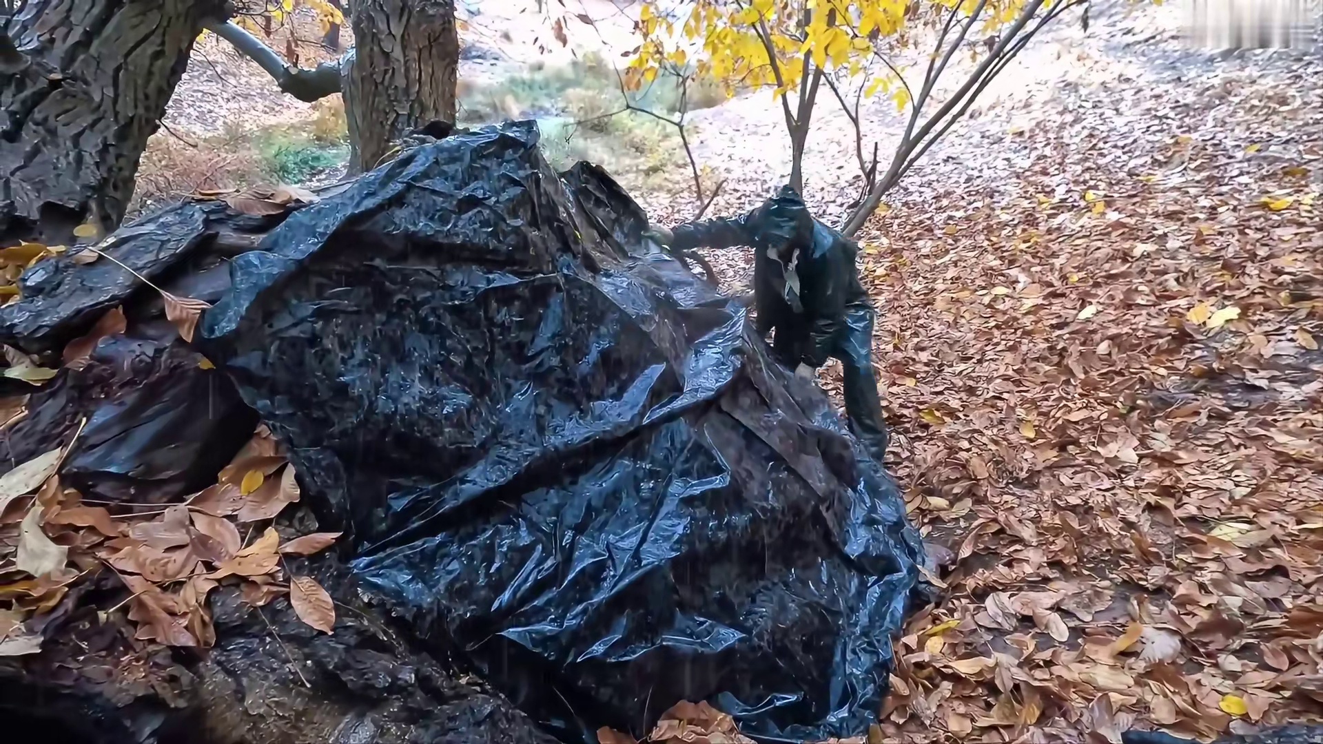 我带你在一场暴雨中深入野外，我一步一步地建造了一个真正的生存避难所 (2)
