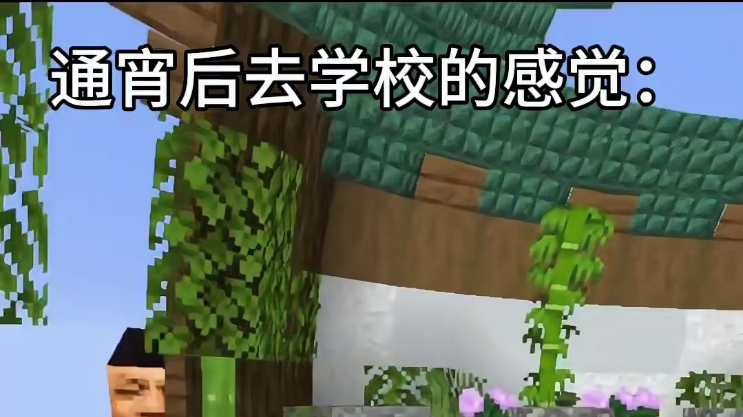 bro此时的心跳声堪比帝王引擎