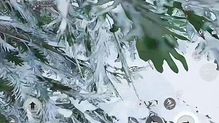 《綠洲人的一天》