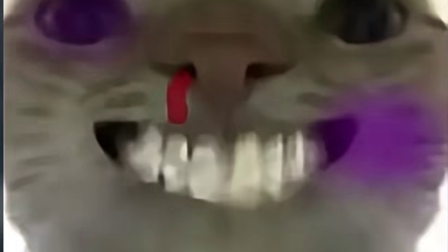 你得凭实力出去