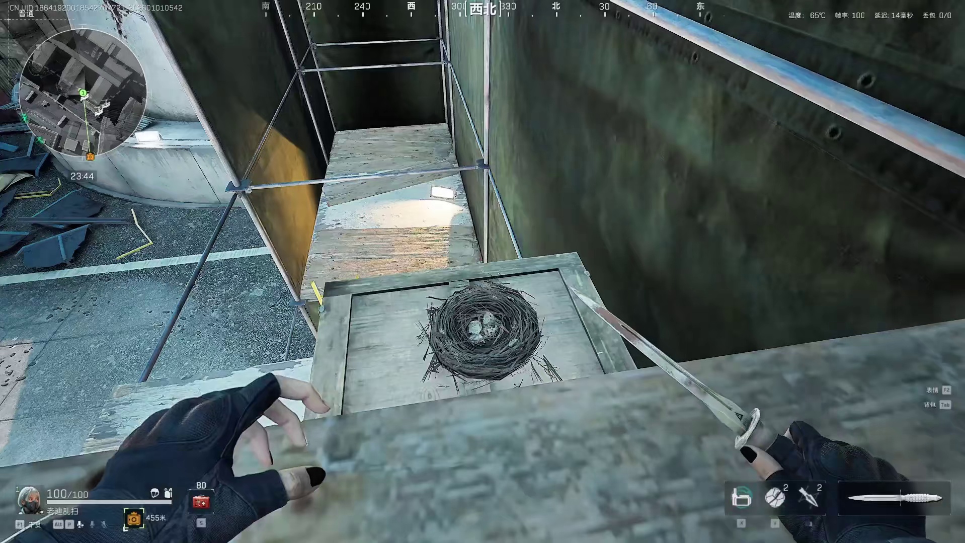 元旦隐藏彩蛋，限时产出8天，只在鸟窝出，第一天爆率还不错