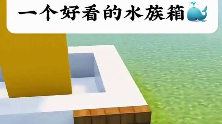 一个好看的水族箱