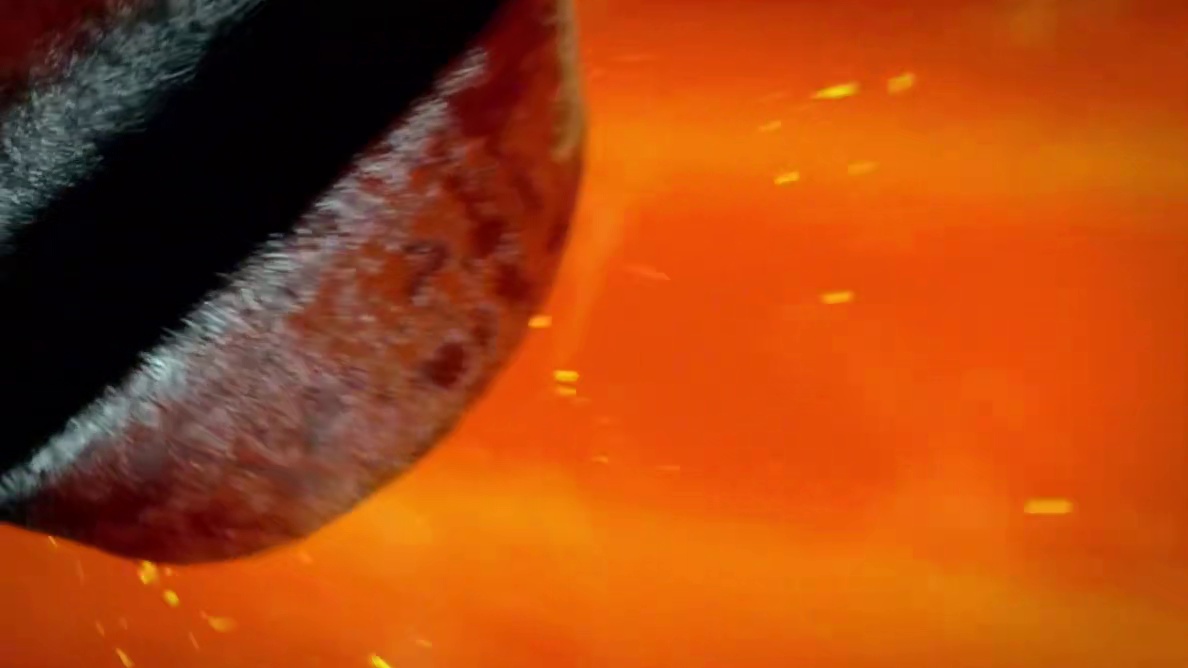 我既不是go学长 也不是瓦学弟 而是瓦兰迪亚的至高无上的王