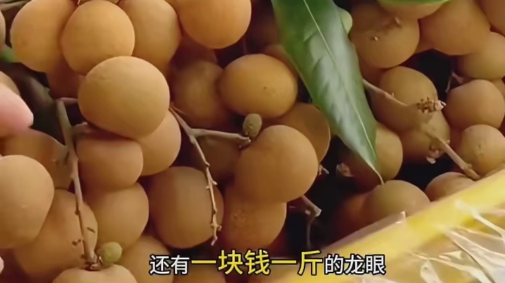 广西的天空真的会掉水果