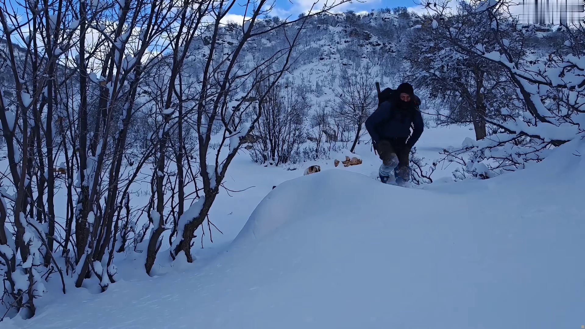 解压-暴雪建造 “带着狗宝在极寒天气，两颗 万吨巨石之间搭建庇护所” (3)