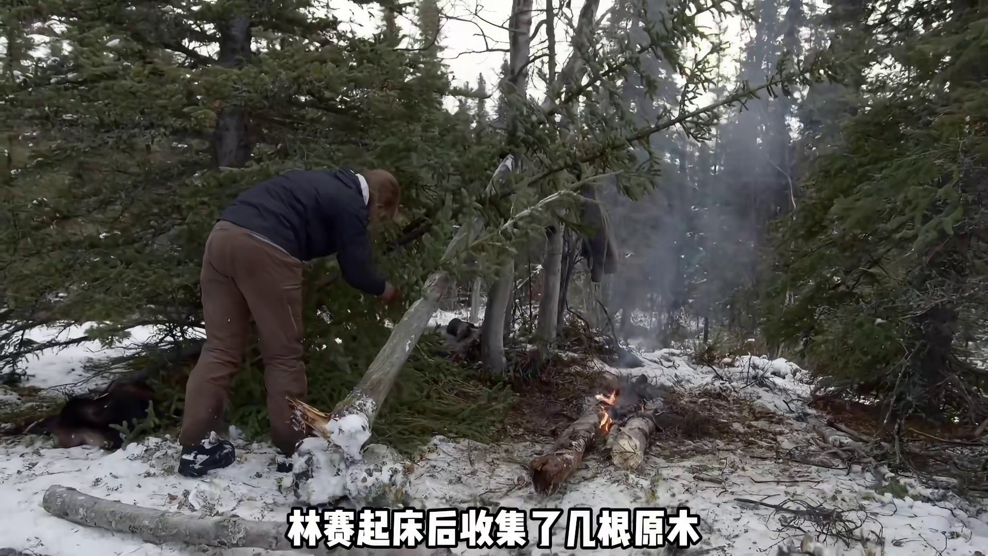 荒野求生迎来了新玩法，开局就送一头大驼鹿 (3)