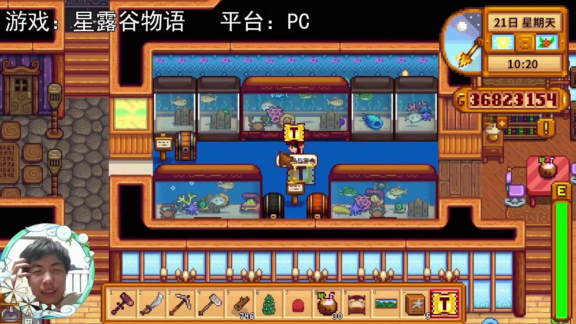 【星露谷物语】星露谷的家装修完了，带大家看一看！