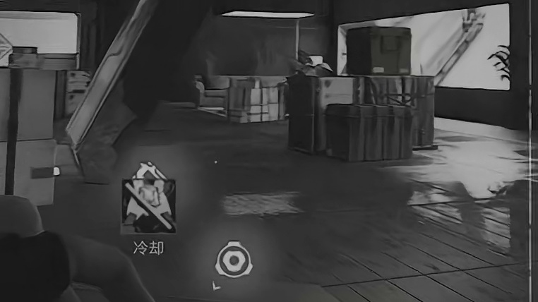 我将公开这段绝望的录像 #