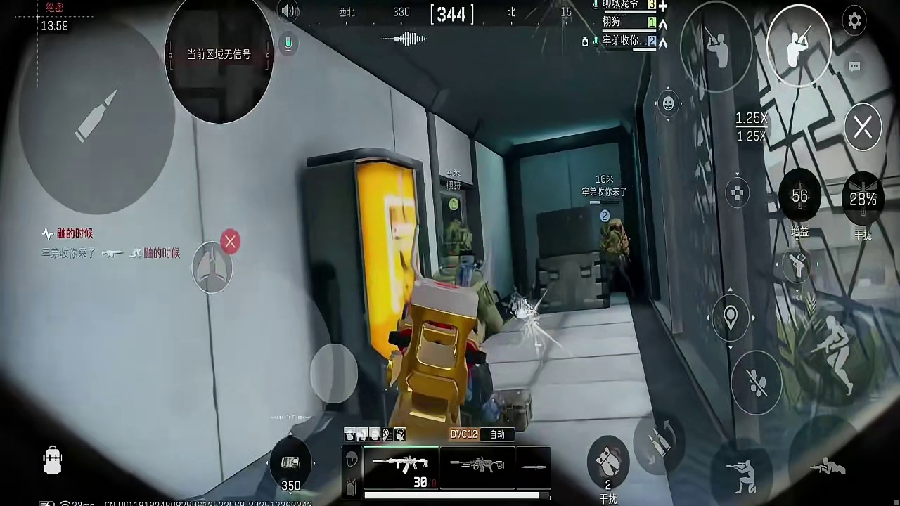 体验宅猫双子星带飞的快乐 一张不到带来的欢乐