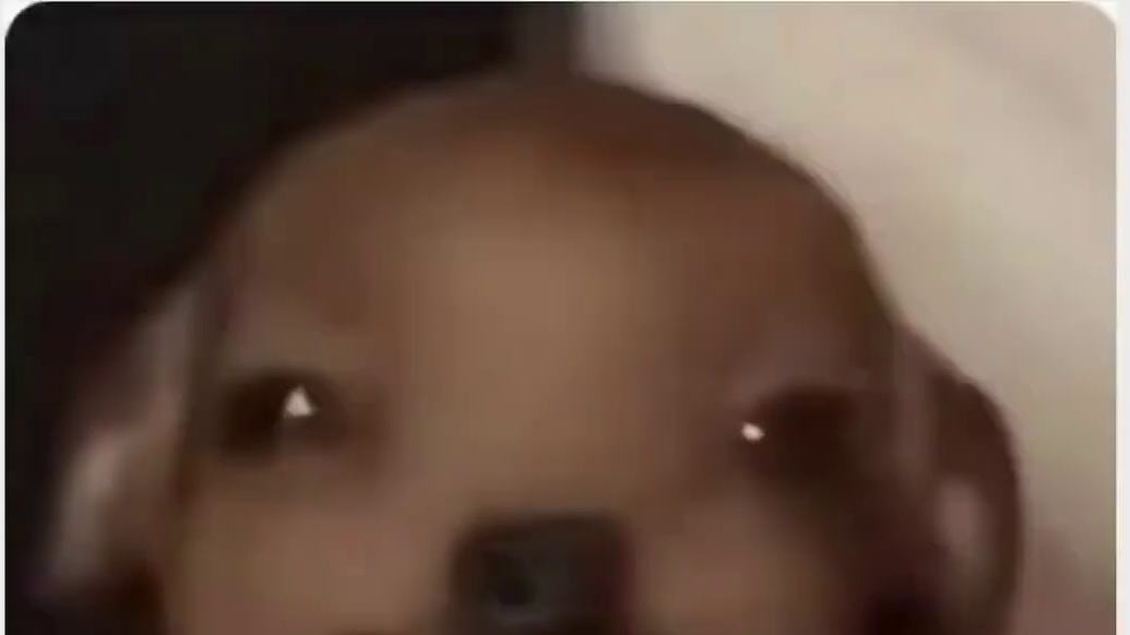 “这你扯不扯呢兄弟”