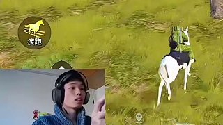 《鯊魚游走圈邊爆炸烈弓亂殺，決賽圈極限自救絕望時(shí)刻！》