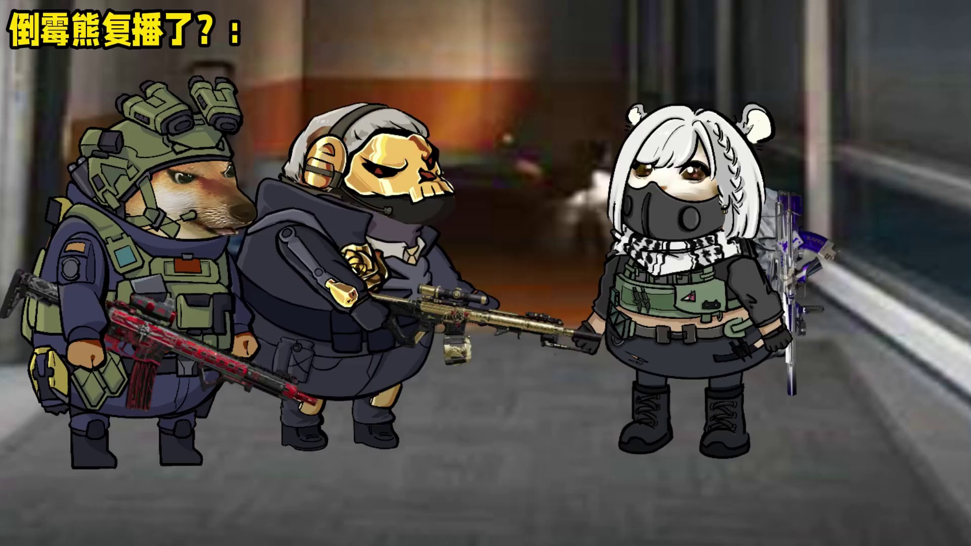 倒霉熊复播了？