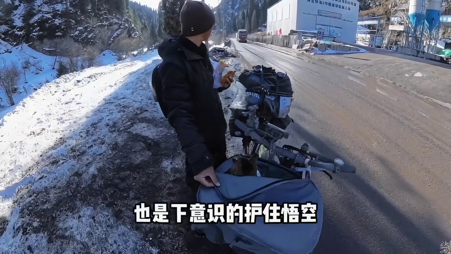 人人都想模仿赵硕，却人人做不到像赵朔那样的真诚
