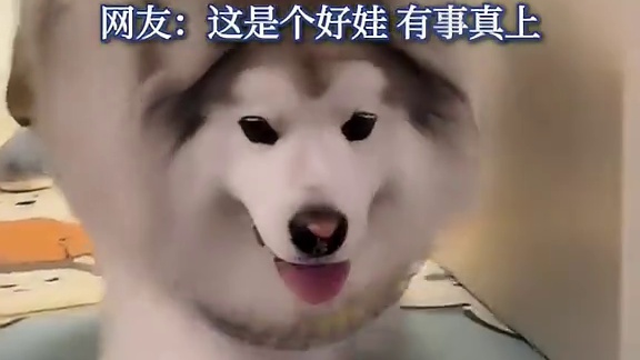 夫妻俩打架闹着玩，狗狗当真了，夜里趁男主人熟睡咬一口就跑。。。