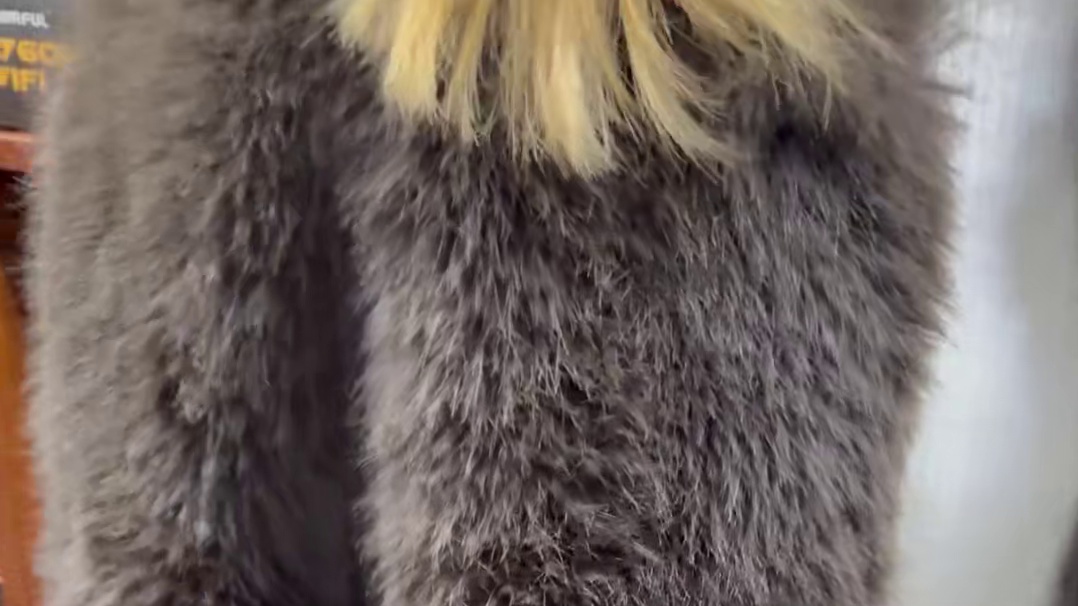 6691！六千五预算diy组装电脑配置推荐！ 一月装机版本答案！