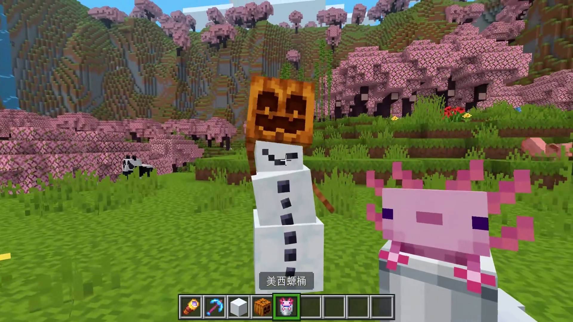 阿米嘎蒂朵~喵喵~