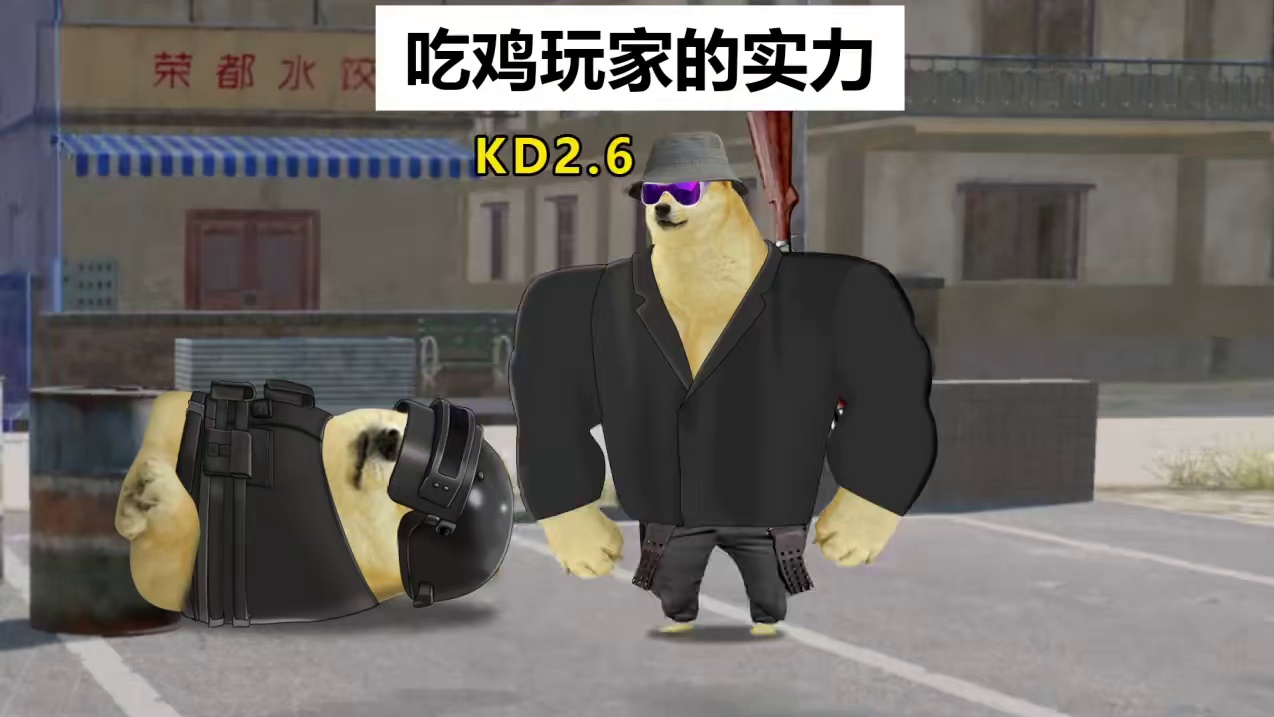 吃鸡玩家的实力