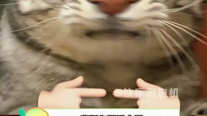 大哥将是第一个同时拥有奥迪和自卑的男人