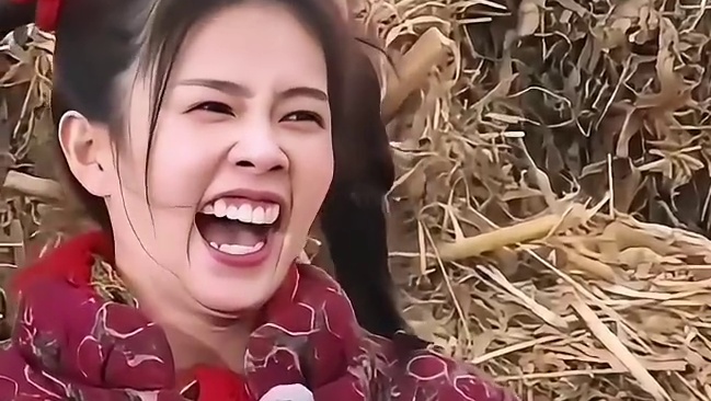 狗子剃毛后被地板攻击