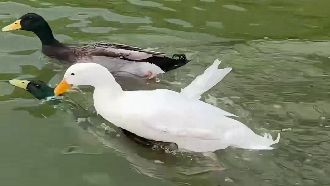 我同桌当年打游戏能把地图背下来，现在人家搞物流调度，全市快递路线门儿清。原来那些熬的夜，都在给未来铺路呢。 ​​​