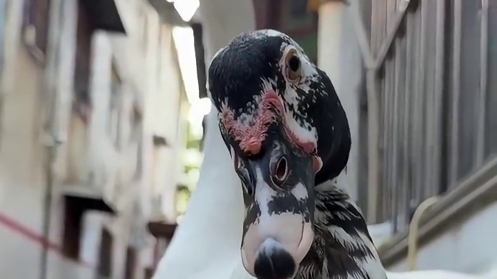 以前家长总说“打游戏能当饭吃吗？”现在看游戏主播、电竞选手，嘿，还真能。就是后悔当年没把水平练到位，不然现在我也在镜头前啃鸡腿了。 ​​​