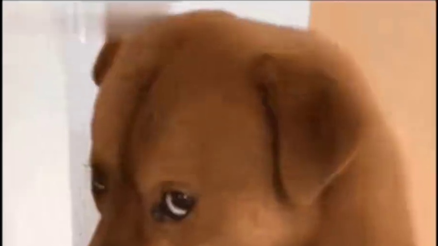 上来就是一卡车的新内容，这谁有你行啊！