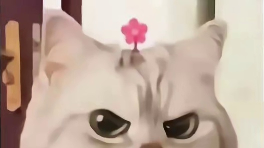 瓦手夜市上线，终于轮到我们秀啦！