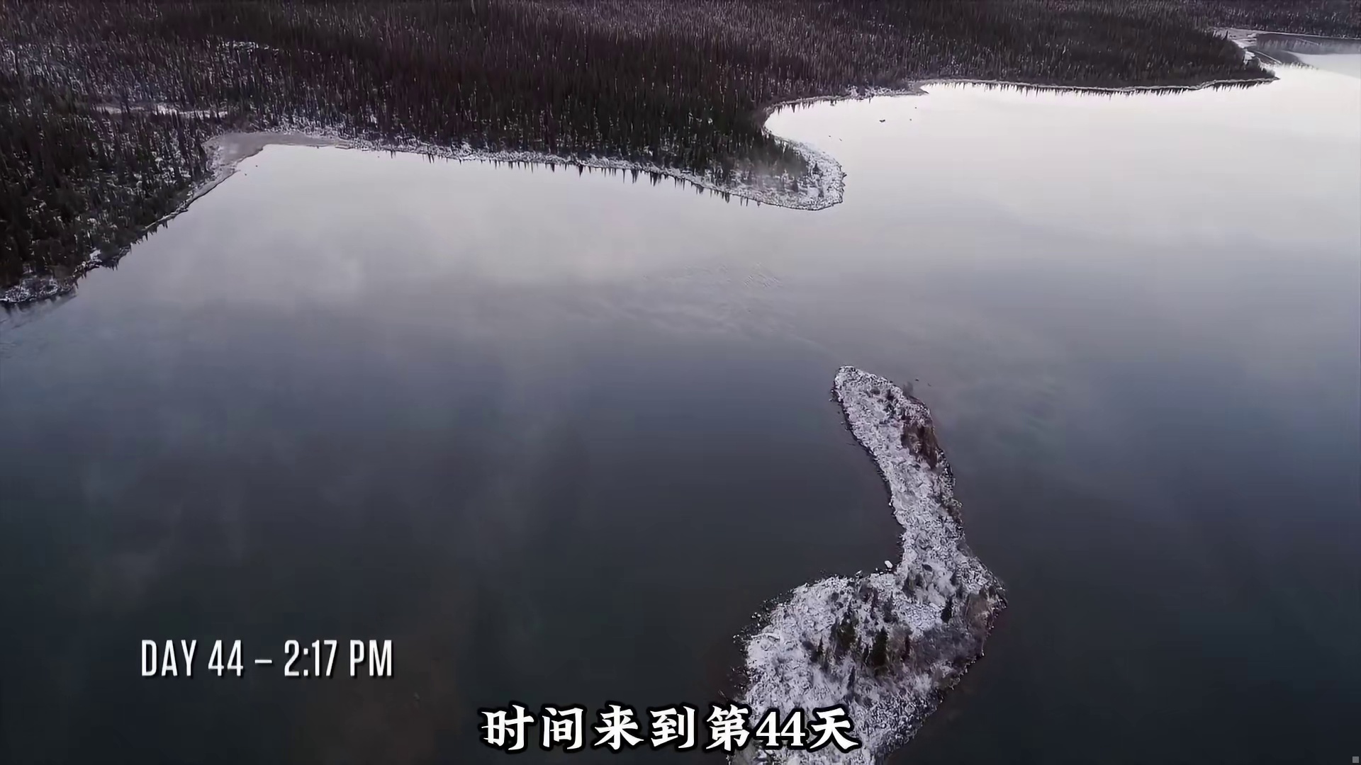 比赛开始仅四十多天就进入了决赛圈大神是否能稳住 (1)