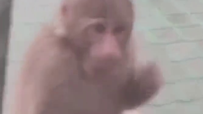 我愿意嫁给财神爷！哪怕是妾！（不是