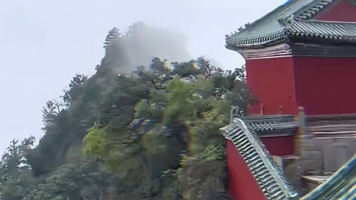 哥们：蹲在这总没人能发现我了吧