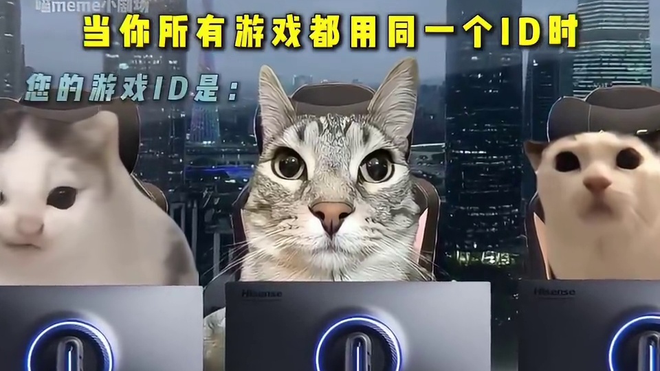 当你所有游戏都用同一个ID时