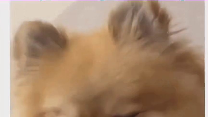 这算盘打的隔壁掌柜的看了都说好