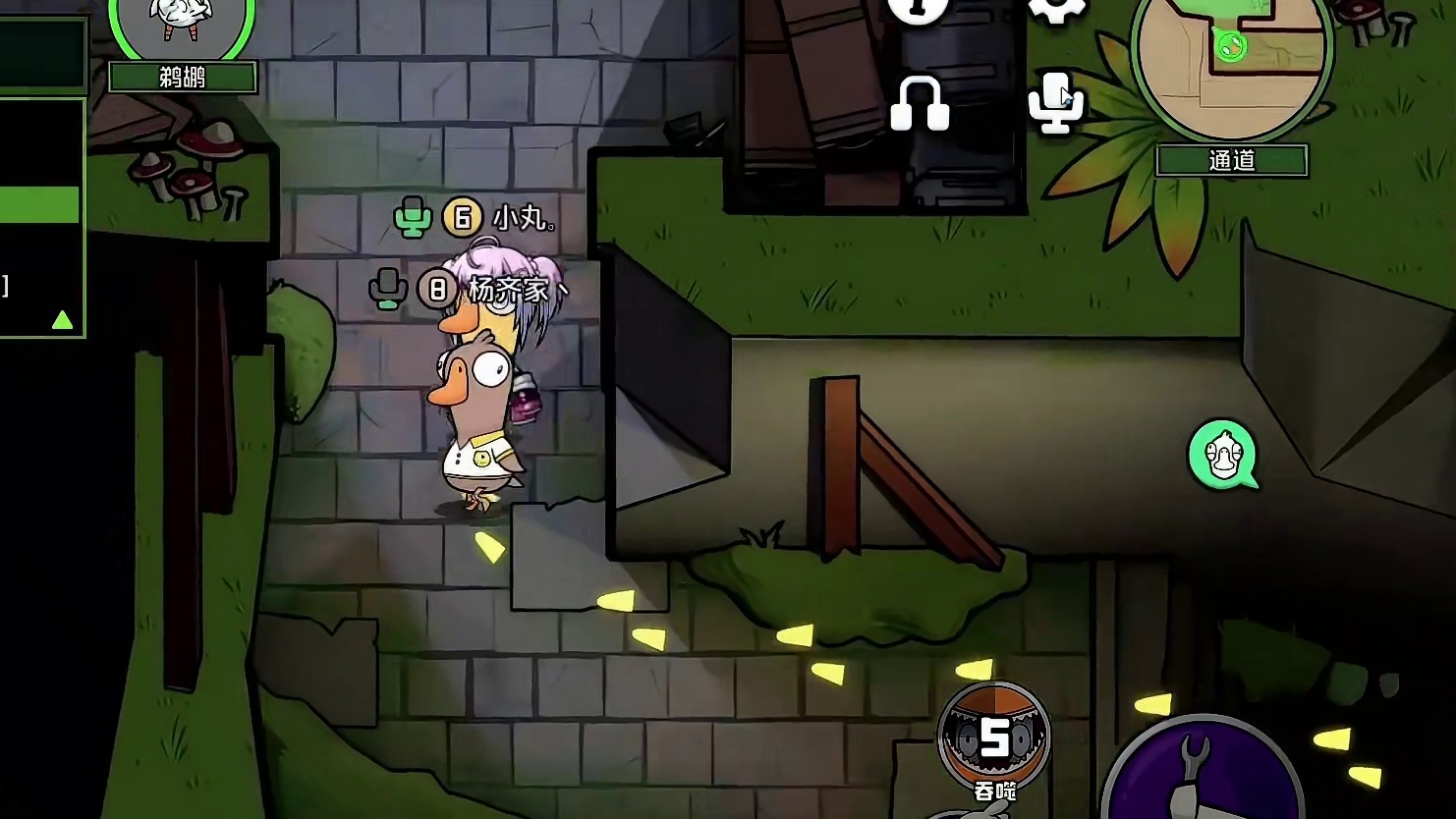 布谷鸟光明正大下蛋也能赢，这你敢信？