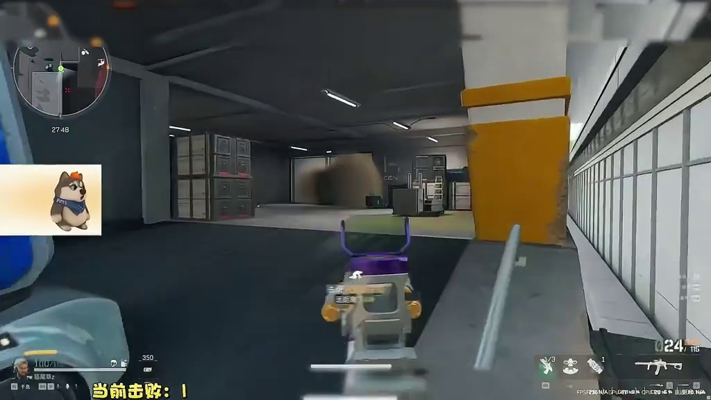 谁说医生不能猛攻，虎头蜂也是蜂