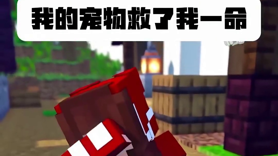 我的宠物救了我一命