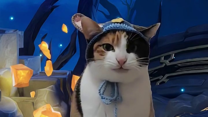 这题小兔也会！快夸夸小兔！*感谢冒险者投稿