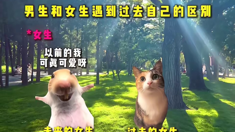 男生和女生遇到过去自己的区别