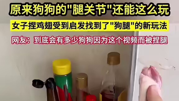 没想到狗狗竟有如此新奇的玩法