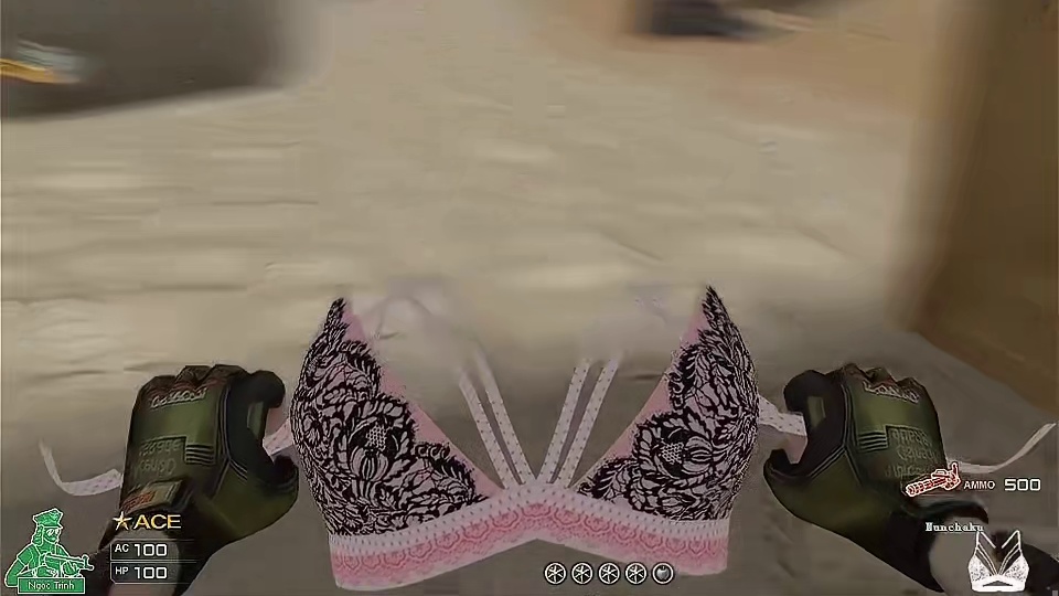 CF越南服搞笑：良子和火男竟然是队友！