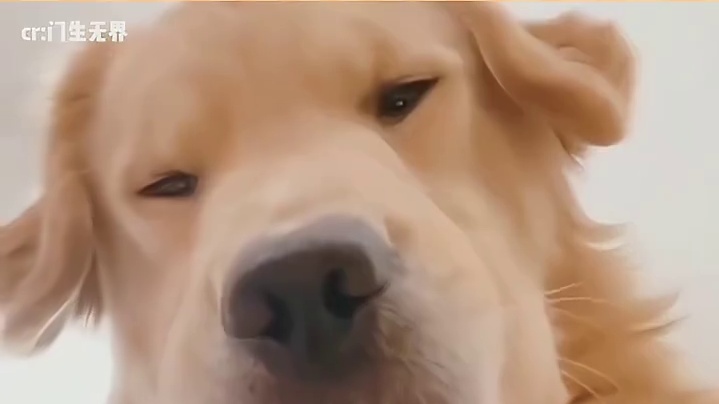 狗都没想到还有人比我更狗！