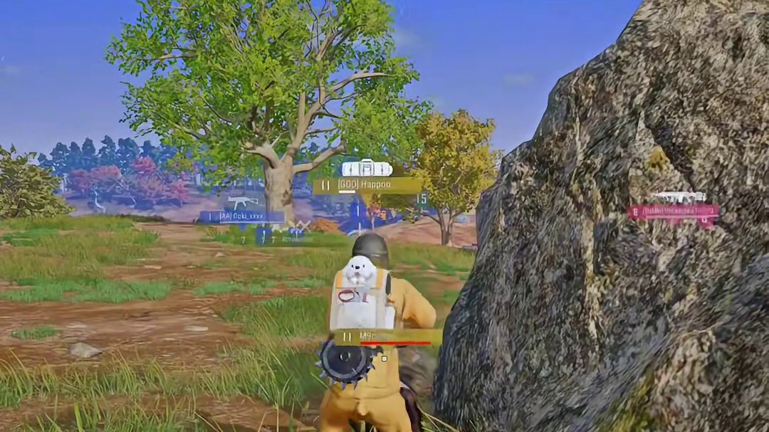 一局遇到两队同行