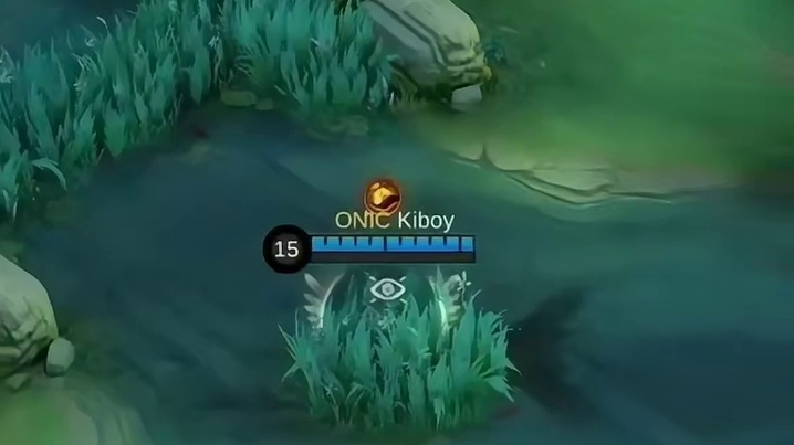 这就是我们热血沸腾的组合技，Kiboy和SANZ的完美团战