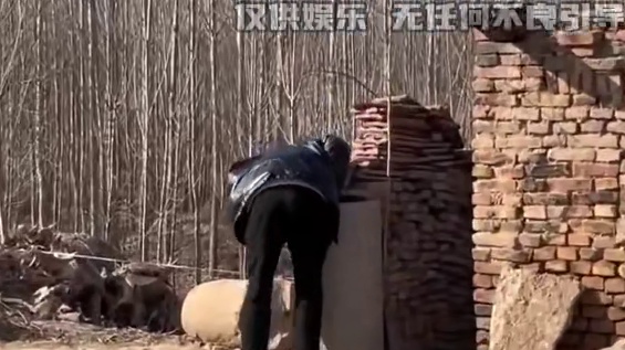 看小姐姐如何用两头猪召唤半个中国