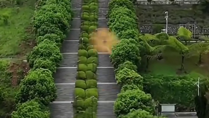 不敢想要是爬一半发现作业落教室里了