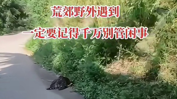 农村直接拿回家造了