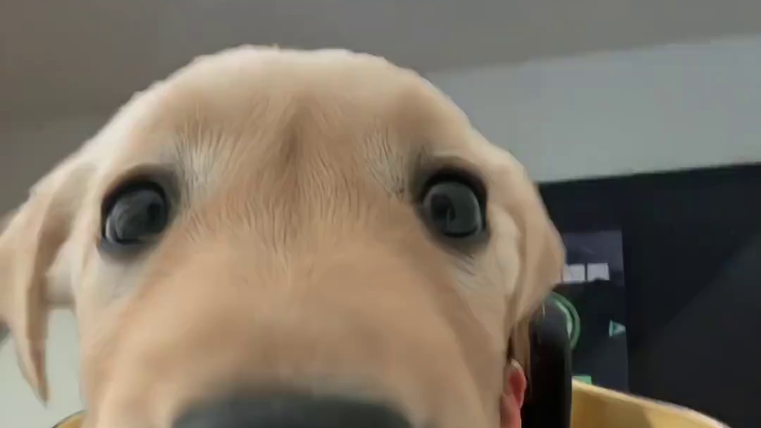 这次我将拿下所有！